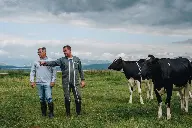 Fabacee économie d'énergie et intrants