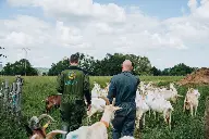 Cap'2ER réduction gaz à effet de serre