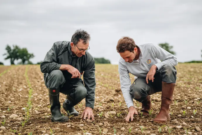 Offre emploi Conseiller agronomique