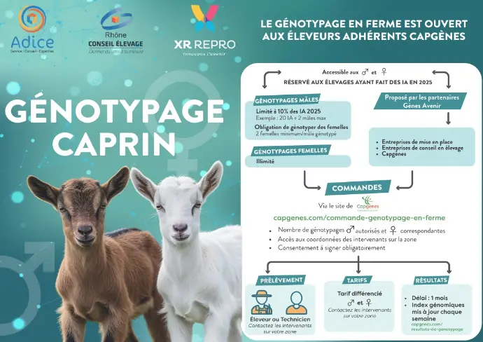 Flyer genotypage caprin Adice